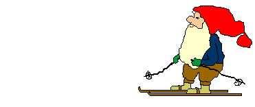 ani_elves009
