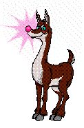 ani_reindeer001