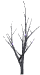 ani_trees027