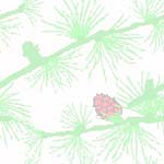 clip_backgrounds027