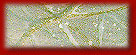 clip_buttonblank018